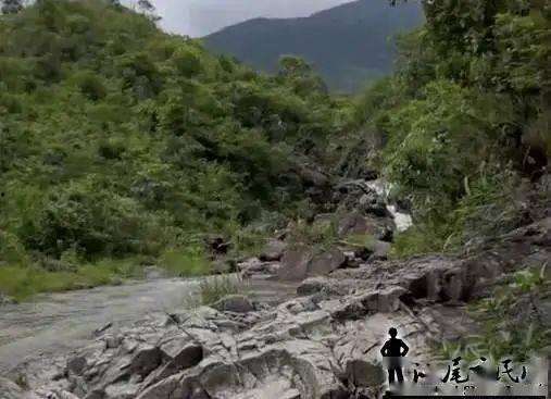 网友爆料莲花山事件视频,网友爆料视频揭示惊人真相  第1张